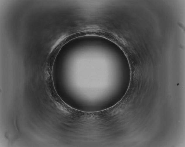 X0000097791400200803071402
