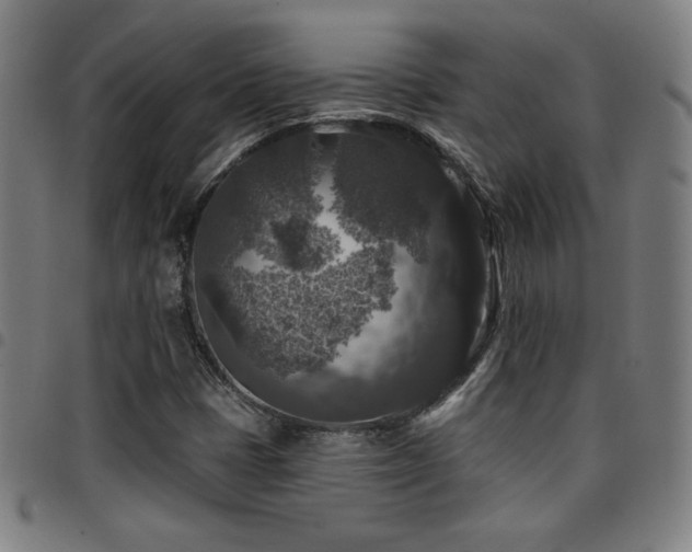 X0000097791401200803071402