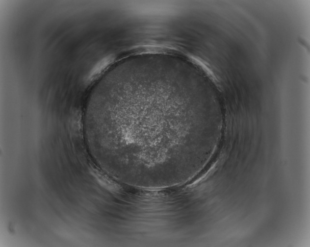 X0000097791403200803071402