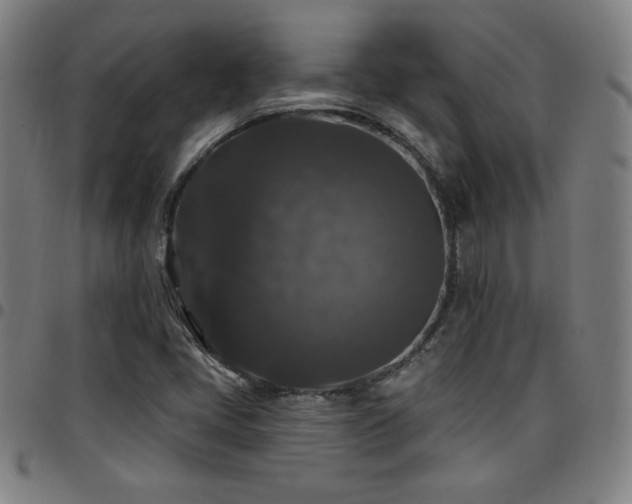 X0000097791405200803071402