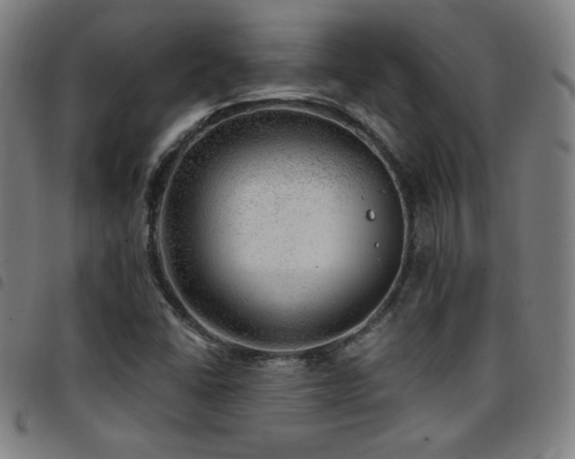 X0000097791406200803071402