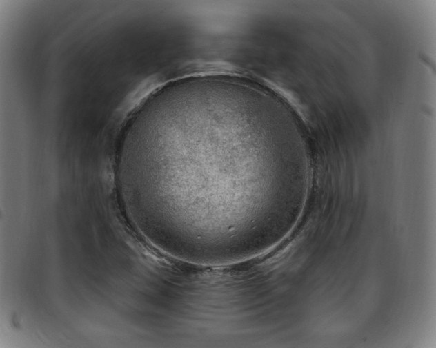 X0000097791407200803071402