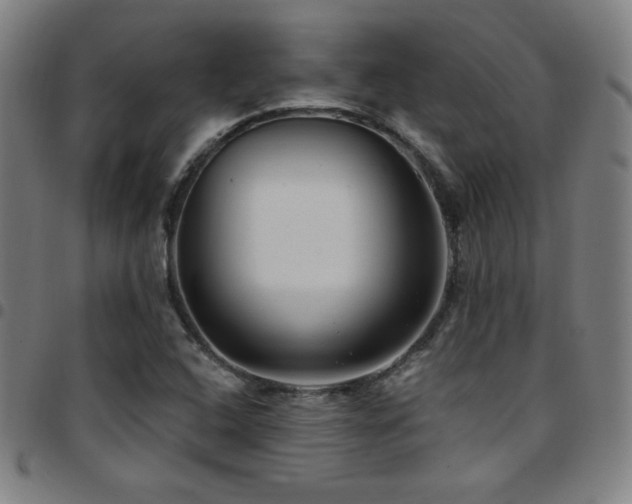 X0000097791408200803071402