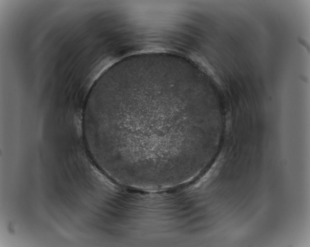 X0000097791409200803071402