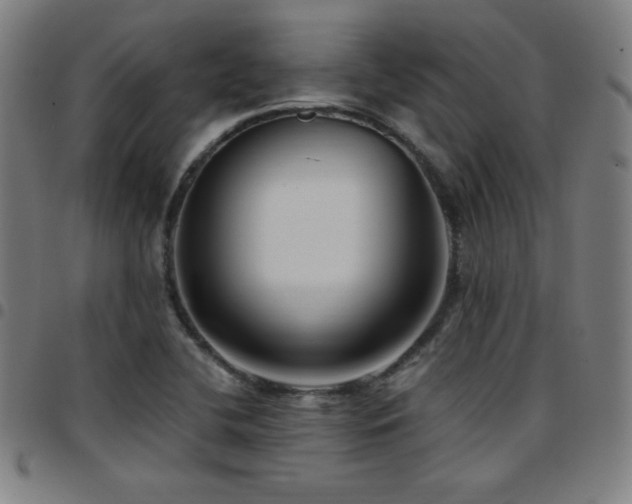 X0000097791412200803071402