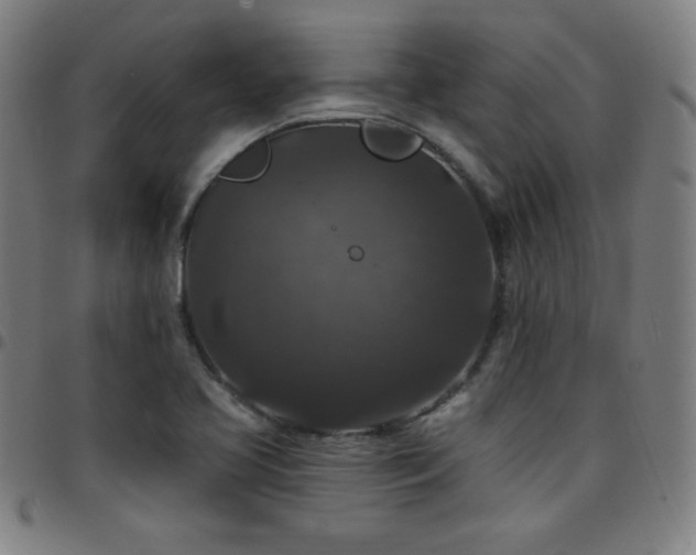 X0000097791413200803071402