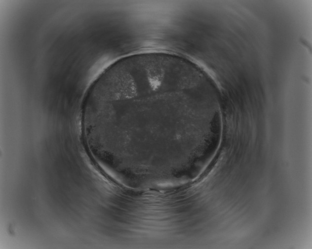 X0000097791415200803071402
