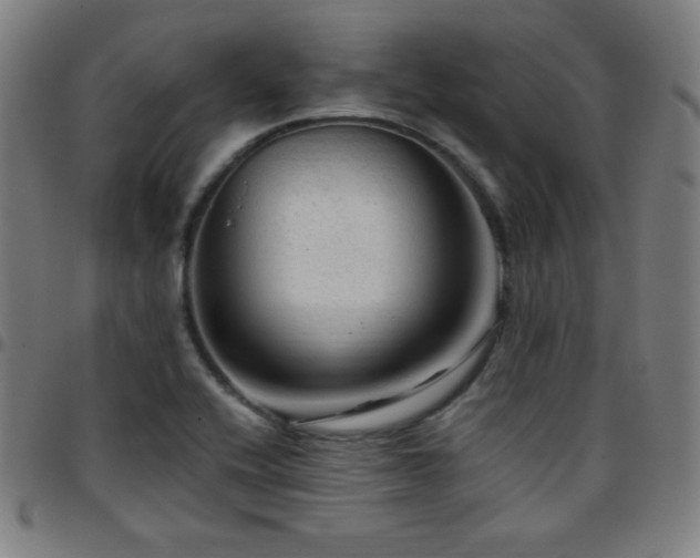 X0000097791416200803071402