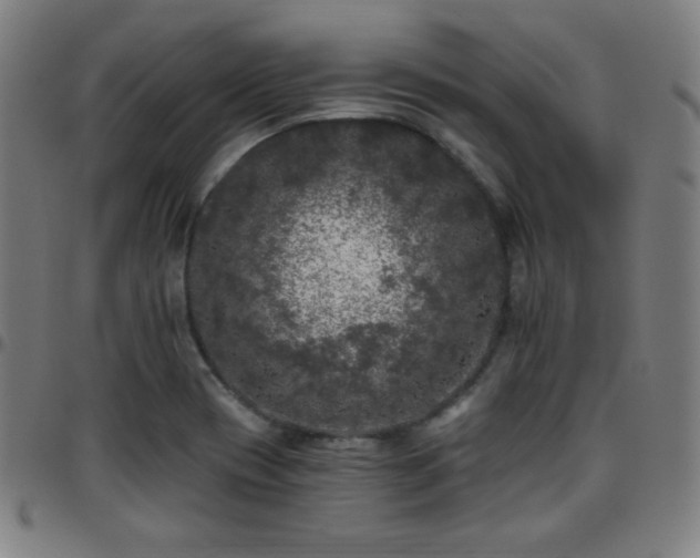 X0000097791417200803071402