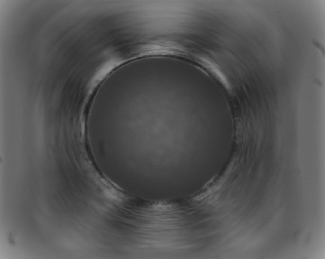 X0000097791419200803071402