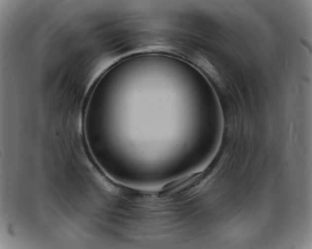 X0000097791420200803071402