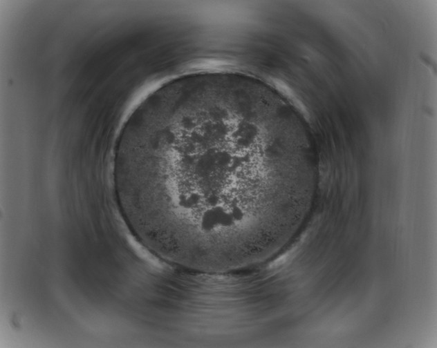 X0000097791421200803071402