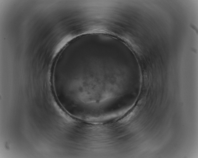 X0000097791422200803071402