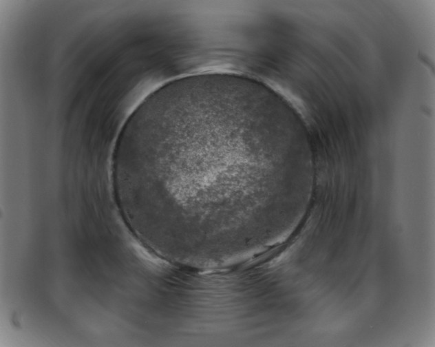 X0000097791423200803071402