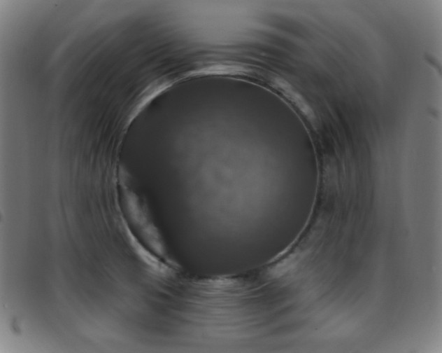 X0000097791425200803071402