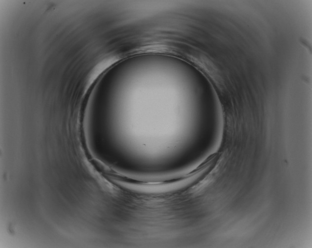 X0000097791426200803071402