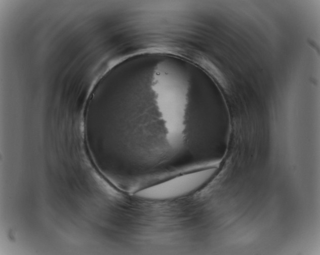 X0000097791428200803071402
