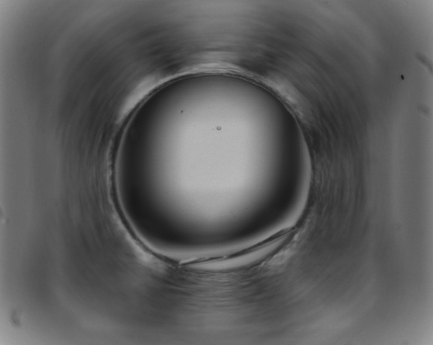 X0000097791430200803071402