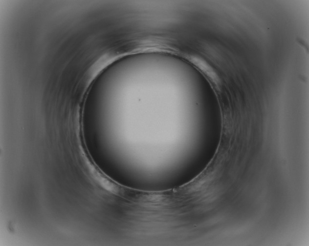 X0000097791431200803071402