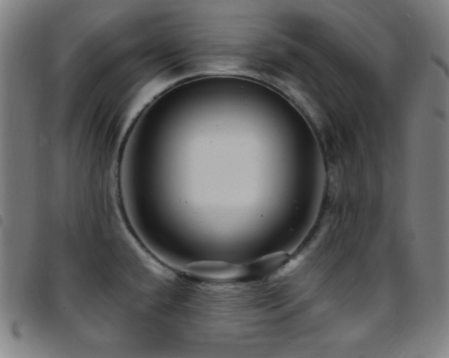 X0000097791432200803071402