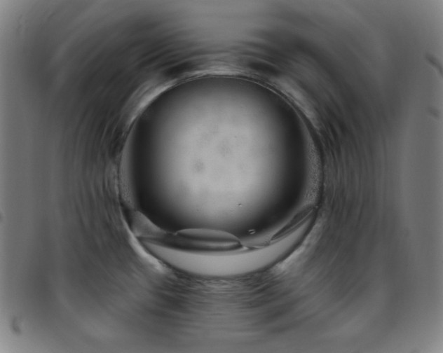 X0000097791433200803071402