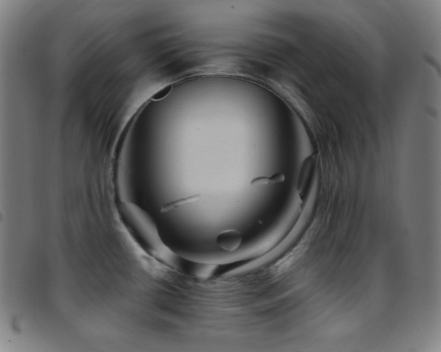 X0000097791434200803071402