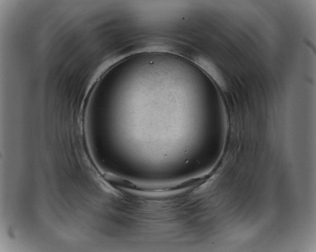X0000097791436200803071402