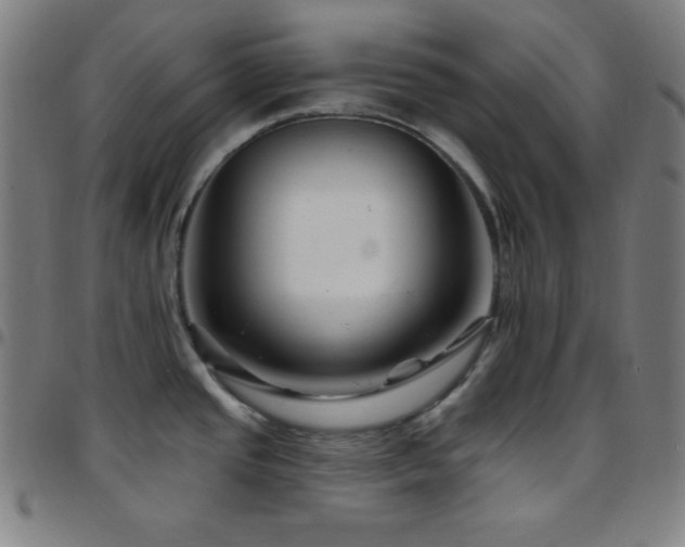 X0000097791437200803071402