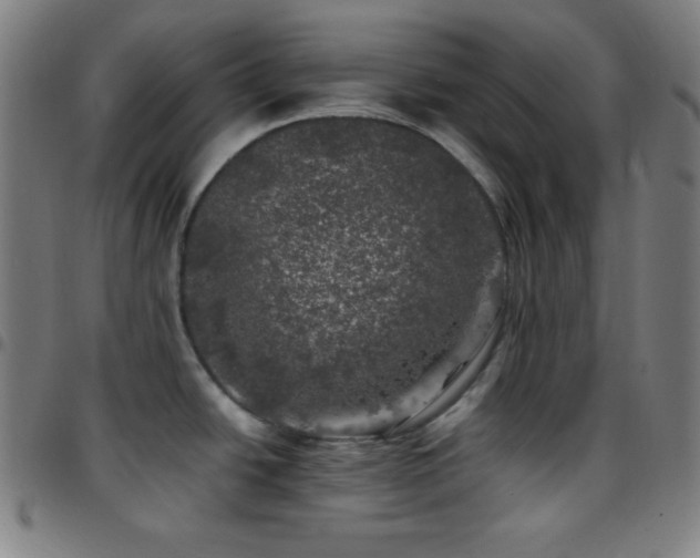 X0000097791438200803071402