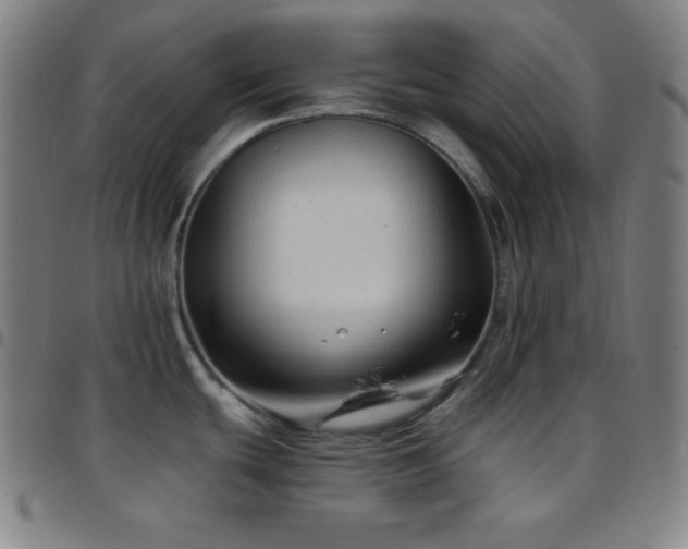 X0000097791439200803071402