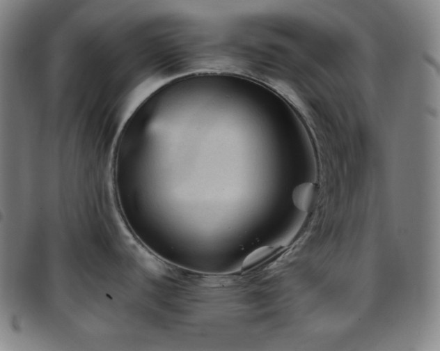 X0000097791440200803071402