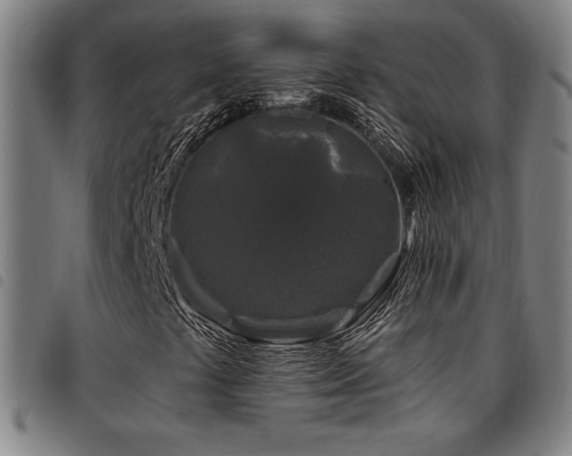X0000097791441200803071401