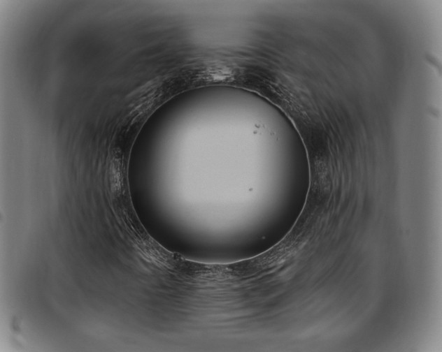 X0000097791442200803071401