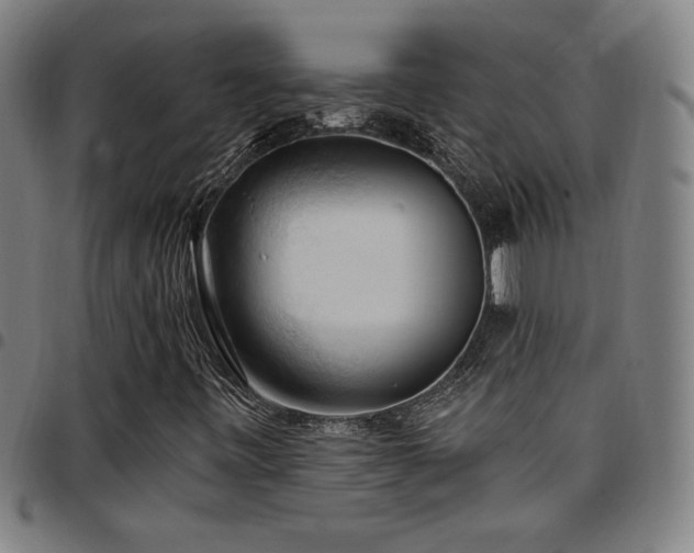 X0000097791443200803071401