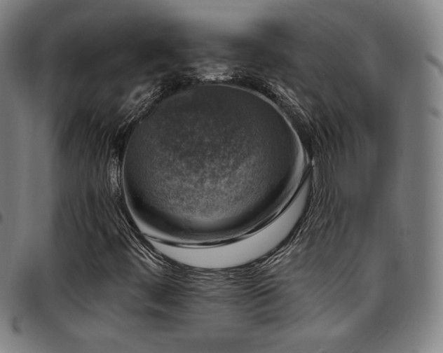 X0000097791444200803071401