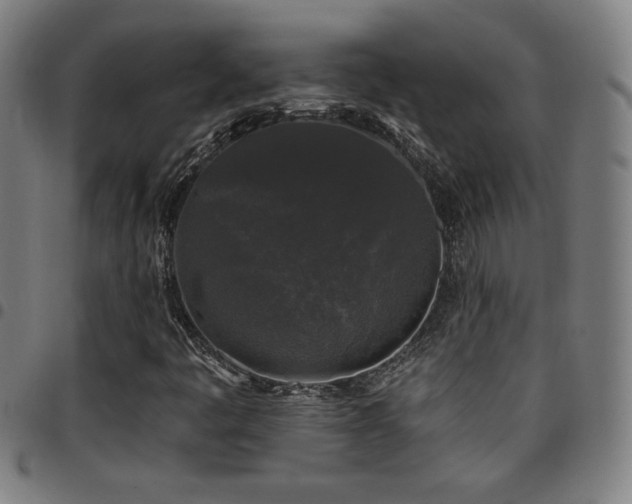X0000097791445200803071401