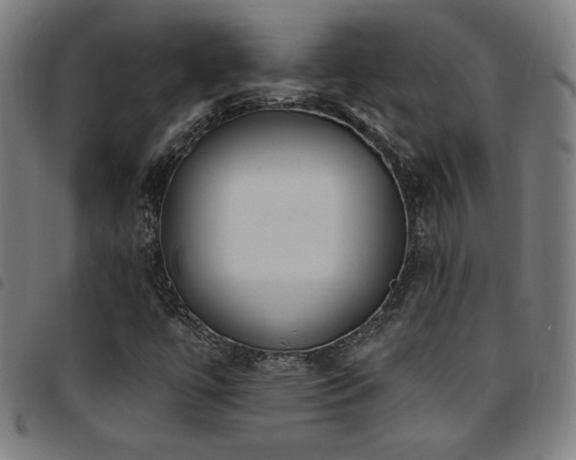 X0000097791447200803071401