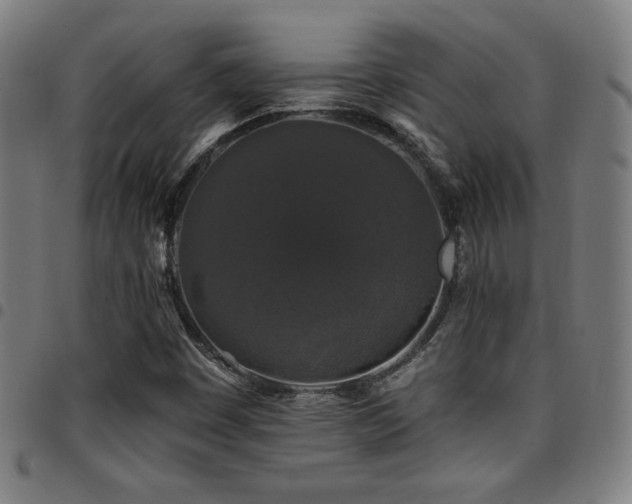 X0000097791449200803071401