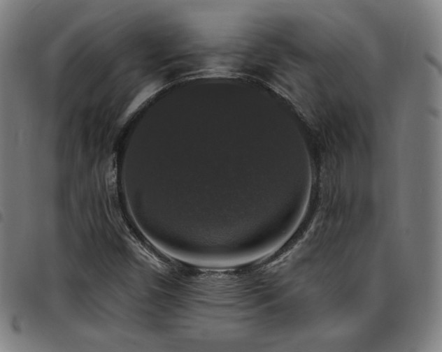 X0000097791450200803071401