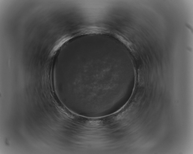X0000097791453200803071401