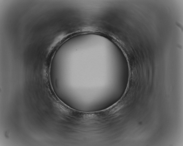 X0000097791454200803071401