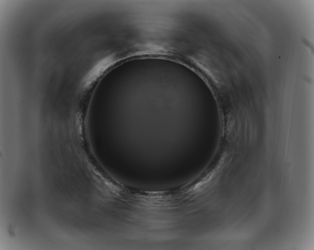 X0000097791455200803071401