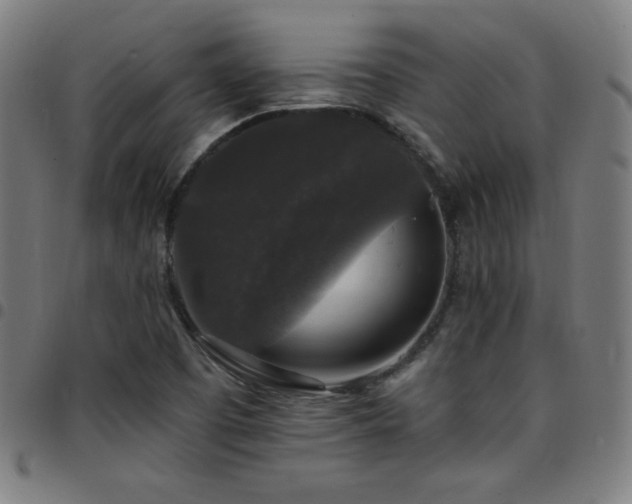 X0000097791457200803071401