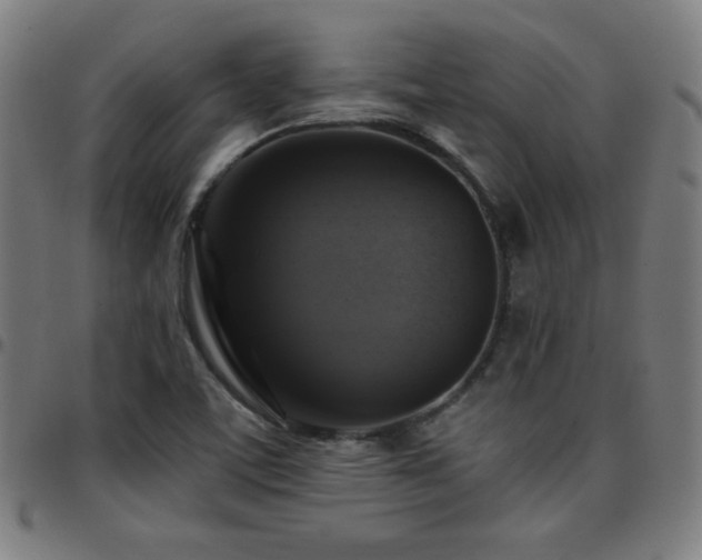 X0000097791459200803071401