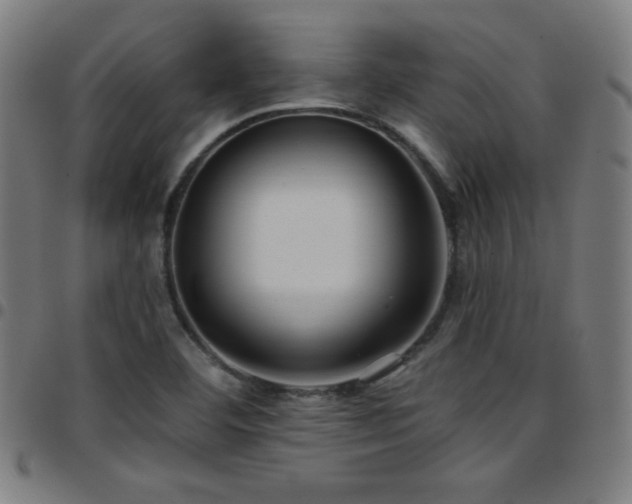 X0000097791460200803071401
