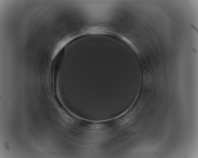 X0000097791461200803071401
