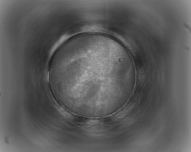 X0000097791462200803071401