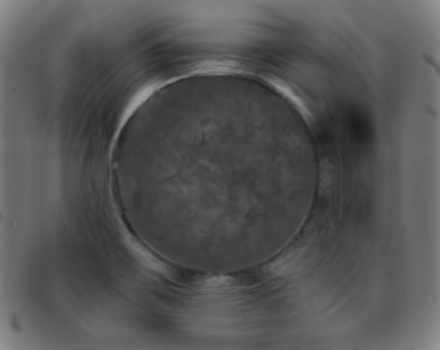 X0000097791467200803071401