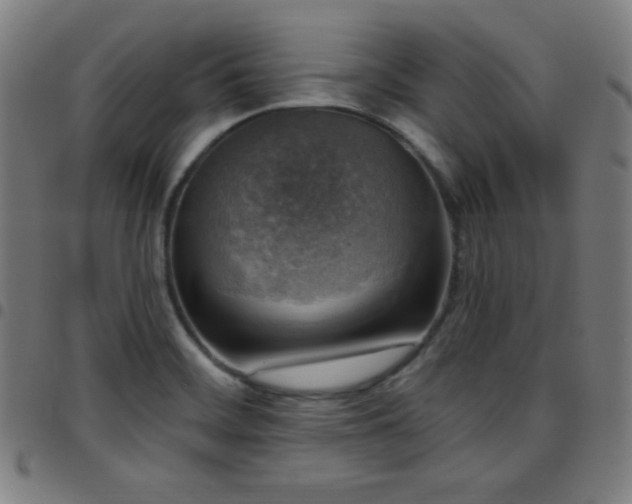 X0000097791468200803071401