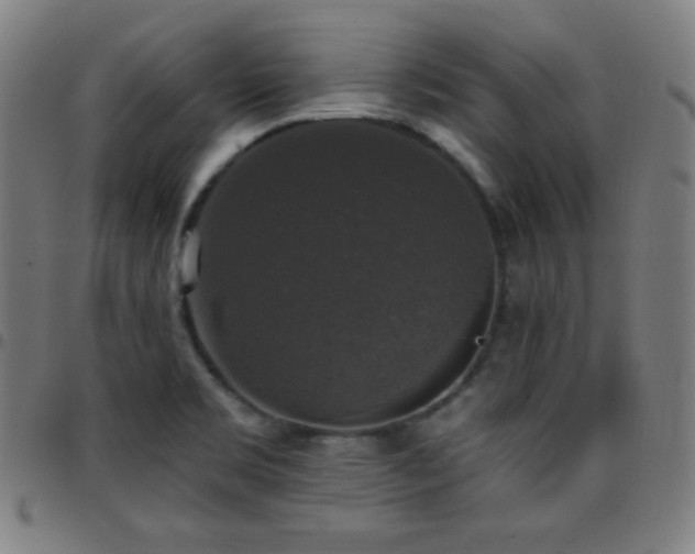 X0000097791469200803071401